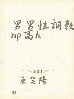 男男性调教小说np高h