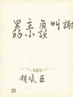 男主角叫谢无妄的小说