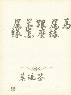 属羊跟属马的姻缘怎么样