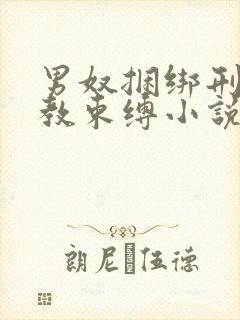 男奴捆绑刑具调教束缚小说