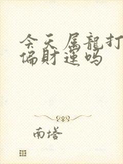 今天属龙打牌有偏财运吗