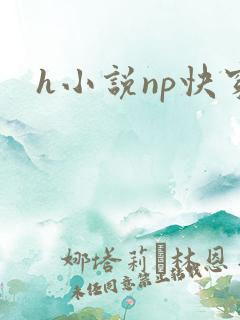 h小说np快穿