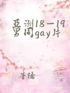 亚洲18—19男同gay片