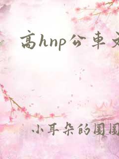 高hnp公车文