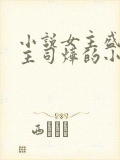 小说女主盛妩男主司烨的小说