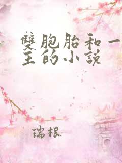 双胞胎和一个女主的小说