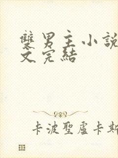 双男主小说高干文完结