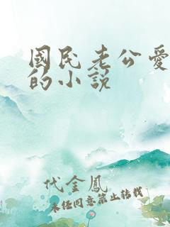 国民老公爱上我的小说
