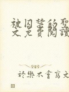 被囚禁的圣女原文免费阅读