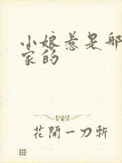 小娘惹是哪个国家的