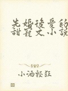 先婚后爱的古言甜宠文小说