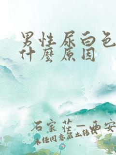 男性尿白色液体什么原因