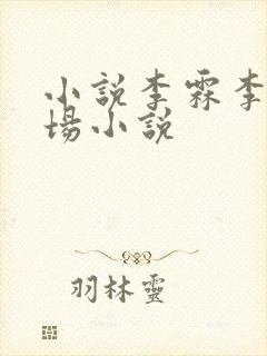 小说李霖李澜官场小说