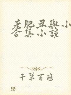 老肥丑与小美人合集小说