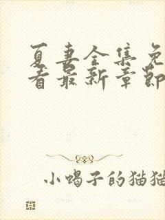 夏妻全集免费观看最新章节更