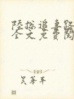 陆总追妻路漫漫全文免费阅读