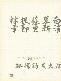 林枫苏慕白最新章节更新消息