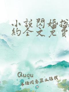 小说闪婚总裁契约全文免费阅读