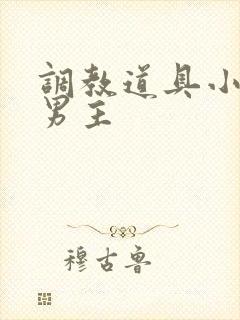 调教道具小说双男主