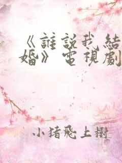 《谁说我结不了婚》电视剧