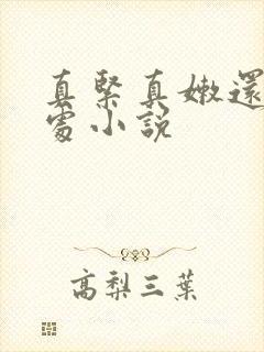 真紧真嫩还是小处小说