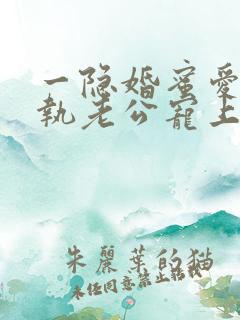 一隐婚蜜爱:偏执老公宠上瘾