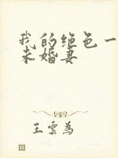 我的绝色一总裁未婚妻