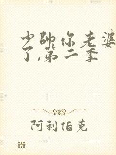 少帅你老婆又跑了,第二季