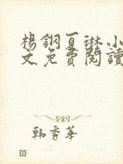 杨钢夏琳小说全文免费阅读最新章节