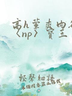 高h荤爽肉欲文〈np〉宝玉