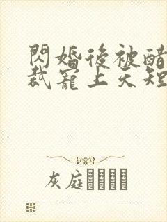 闪婚后被醋王总裁宠上天短剧免费观看