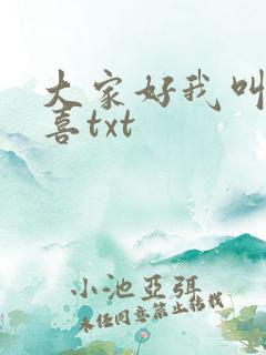 大家好我叫林小喜txt