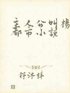 主人公叫杨凡的都市小说