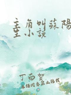 主角叫苏阳的重生小说