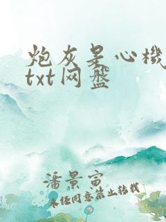 炮灰是心机美人txt网盘