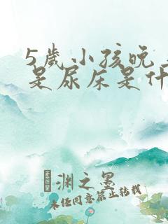 5岁小孩晚上老是尿床是什么原因