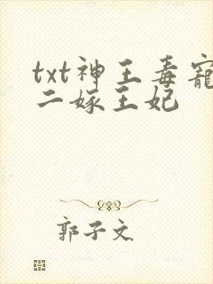 txt神王毒宠二嫁王妃