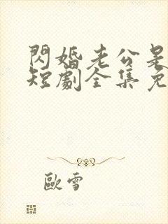 闪婚老公是总裁短剧全集免费看