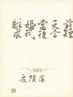 离婚当天前夫跪求我复合短剧全集