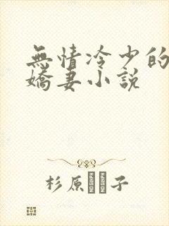 无情冷少的替嫁娇妻小说