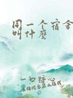 同一个宿舍的人叫什么