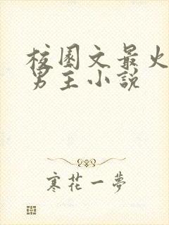 校园文最火的双男主小说