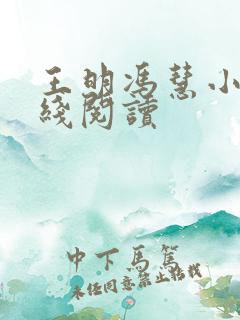 王明冯慧小说在线阅读