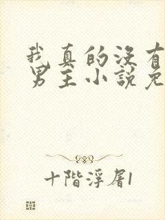 我真的没有想抢男主小说免费阅读