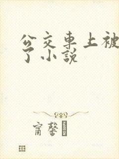 公交车上被乱操了小说