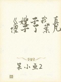 《嫂子我真不是傻子了叶凡》