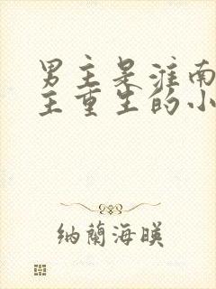 男主是淮南王女主重生的小说