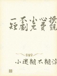 一不小心撩错人短剧免费观看全集