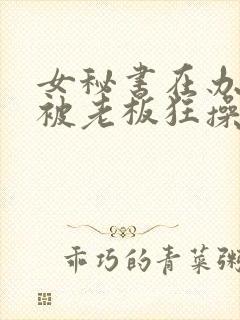 女秘书在办公室被老板狂操视频