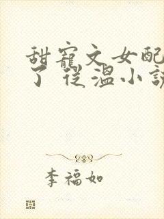 甜宠文女配不干了 从温小说